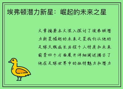 埃弗顿潜力新星：崛起的未来之星