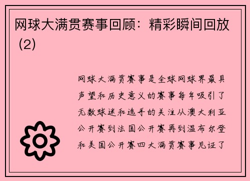 网球大满贯赛事回顾：精彩瞬间回放 (2)