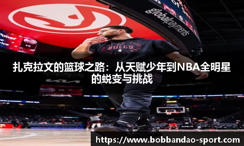 BOB半岛体育